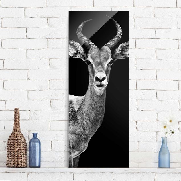 Glas Magnetboard Impala Antilope schwarz-weiss