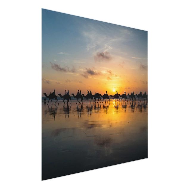 Glasbild - Kamele im Sonnenuntergang - Quadrat 1:1