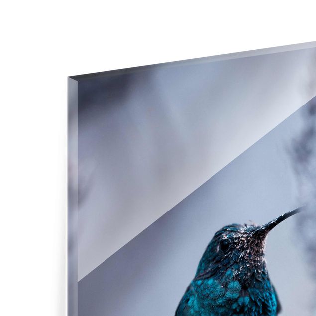 Glasbild - Kolibri im Winter - Quadrat 1:1