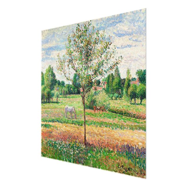 Glasbild - Kunstdruck Camille Pissarro - Wiese mit Schimmel, Eragny - Impressionismus Quadrat 1:1