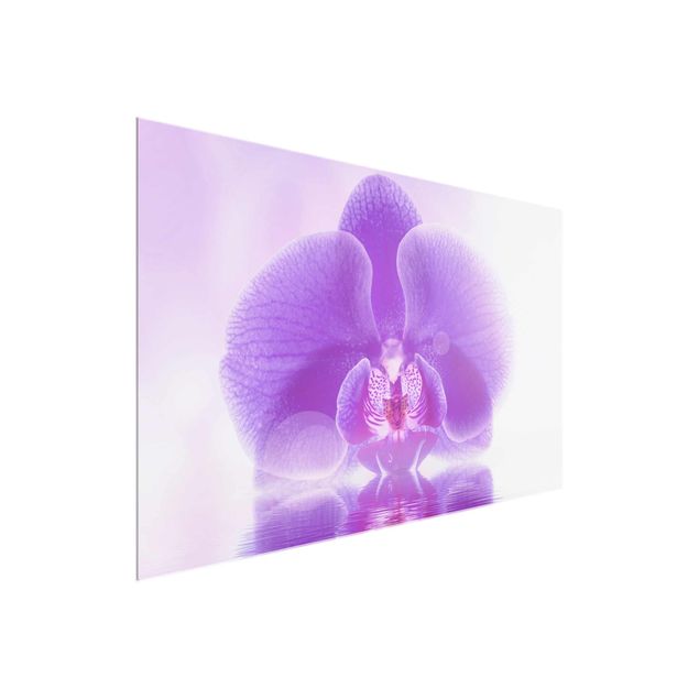 Glasbild - Lila Orchidee auf Wasser - Quer 3:2