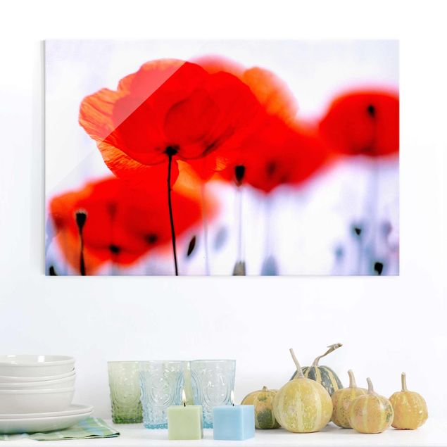 Glas Magnetboard Magic Poppies