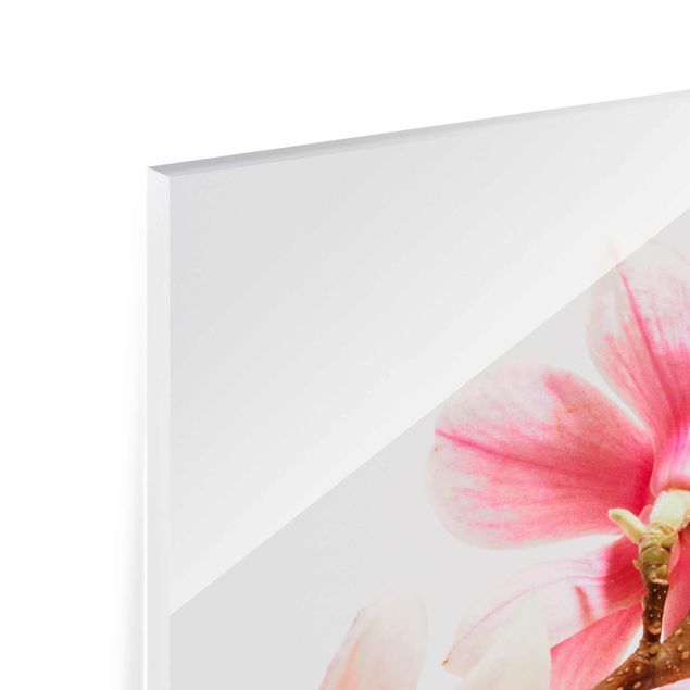 Glasbild - Magnolienblüten - Quadrat 1:1