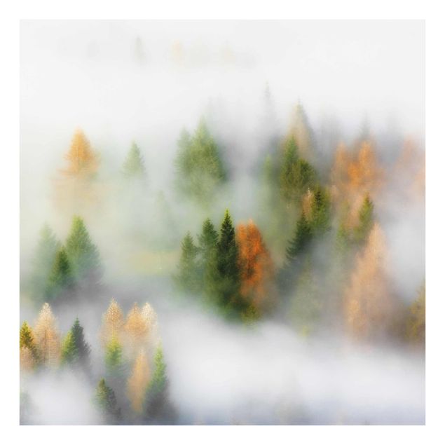Glasbild - Nebelwald im Herbst - Quadrat 1:1