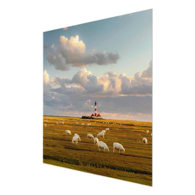 Glasbild - Nordsee Leuchtturm mit Schafsherde - Quadrat 1:1
