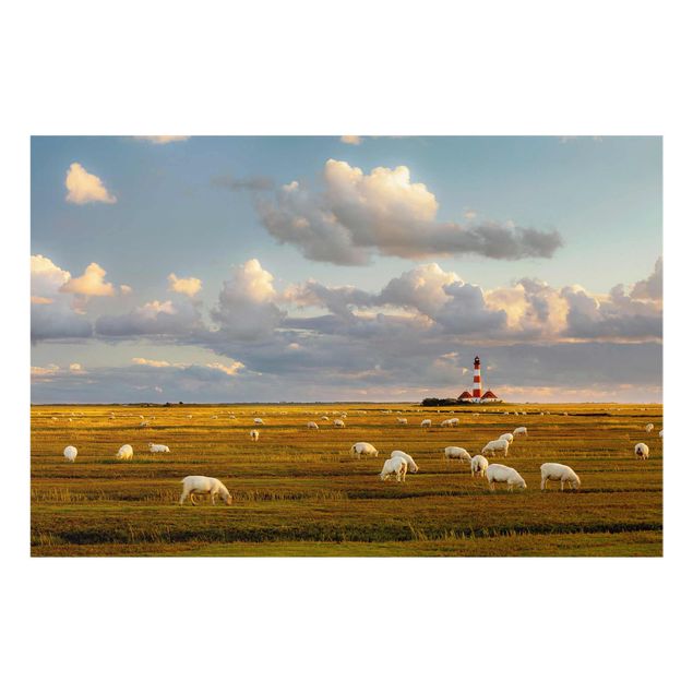 Glasbild - Nordsee Leuchtturm mit Schafsherde - Quer 3:2