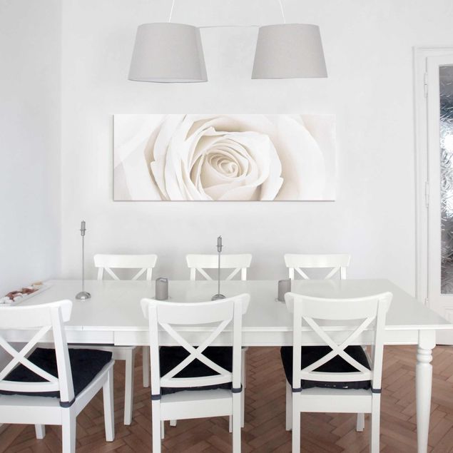 Glasbild - Pretty White Rose - Panorama Quer - Blumenbild Glas