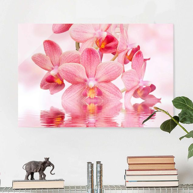 Glasbild - Rosa Orchideen auf Wasser - Quer 3:2
