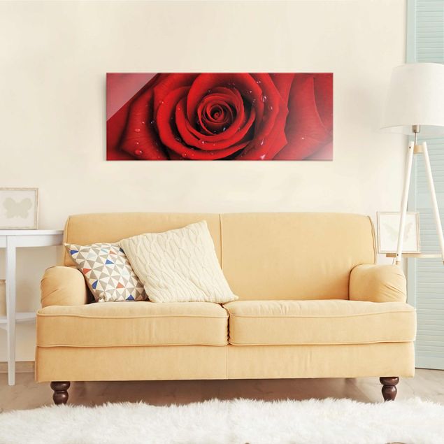Glasbild - Rote Rose mit Wassertropfen - Panorama Quer - Blumenbild Glas