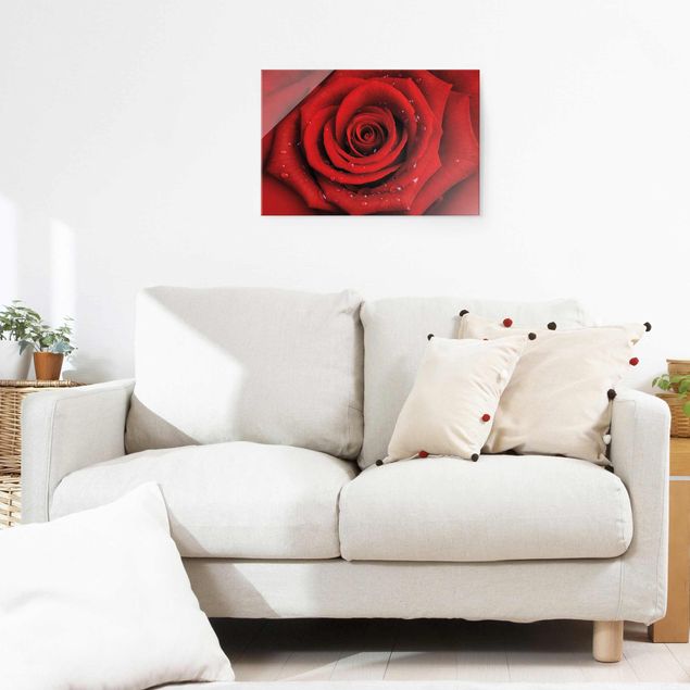 Glasbild - Rote Rose mit Wassertropfen - Quer 3:2 - Blumenbild Glas