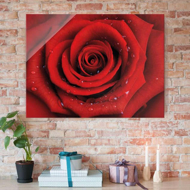 Glasbild - Rote Rose mit Wassertropfen - Quer 4:3 - Blumenbild Glas