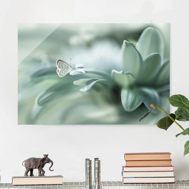 Glas Magnetboard Schmetterling und Tautropfen in Pastellgrün