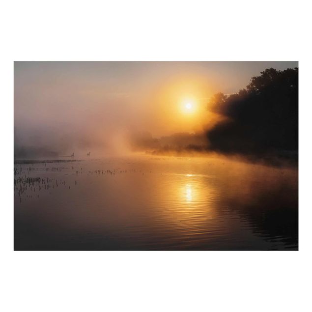 Glasbild - Sonnenaufgang am See mit Rehen im Nebel - Panorama Quer