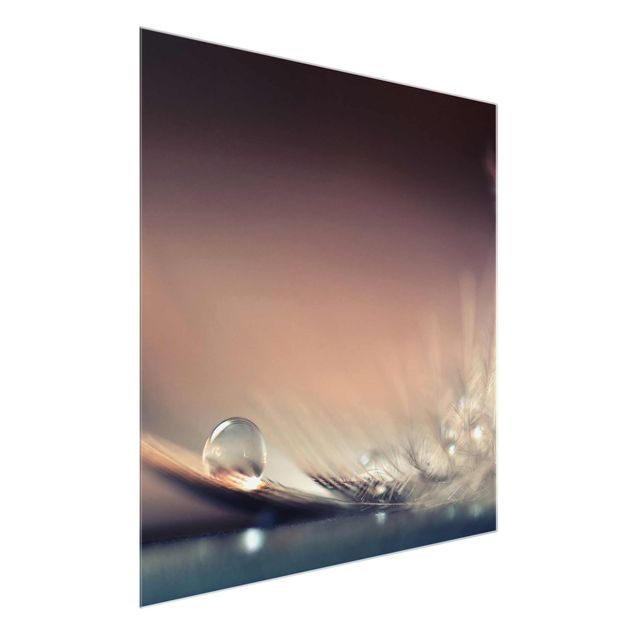 Glasbild - Story of a Waterdrop - Quadrat 1:1