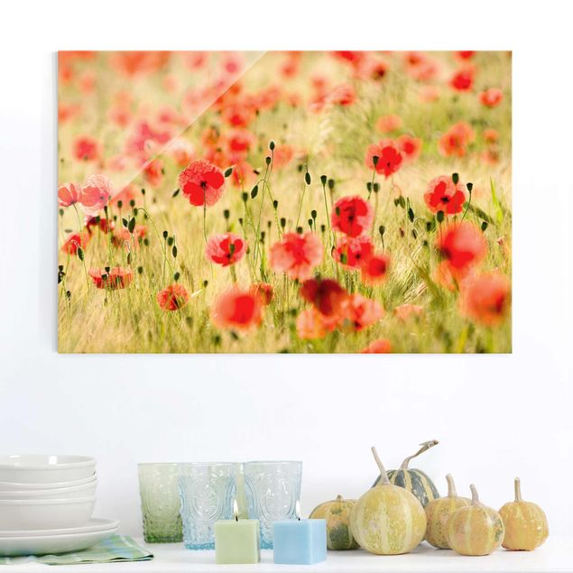 Glas Magnetboard Summer Poppies