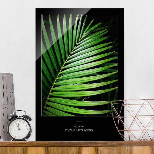 Glas Magnettafel Tropisches Palmblatt