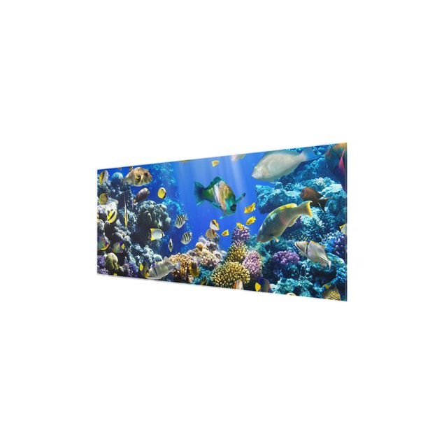 Glasbild - Underwater Reef - Panorama Quer