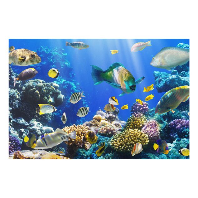 Glasbild - Underwater Reef - Quer 3:2