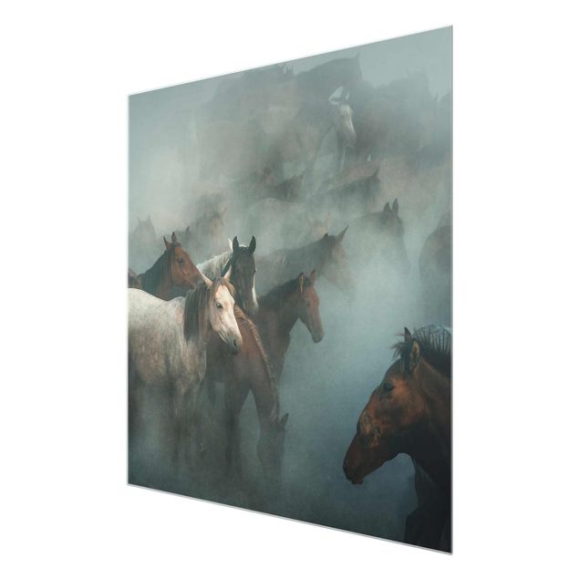 Glasbild - Wilde Pferde - Quadrat 1:1