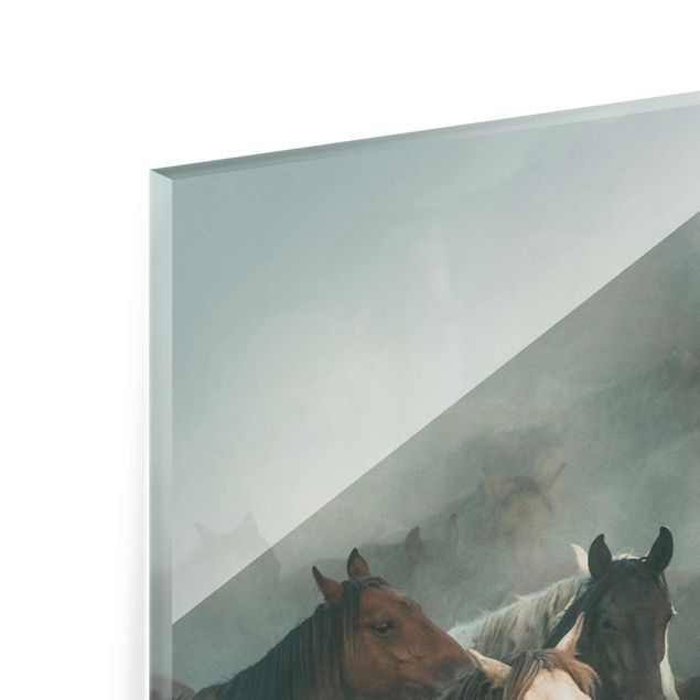 Glasbild - Wilde Pferde - Quadrat 1:1