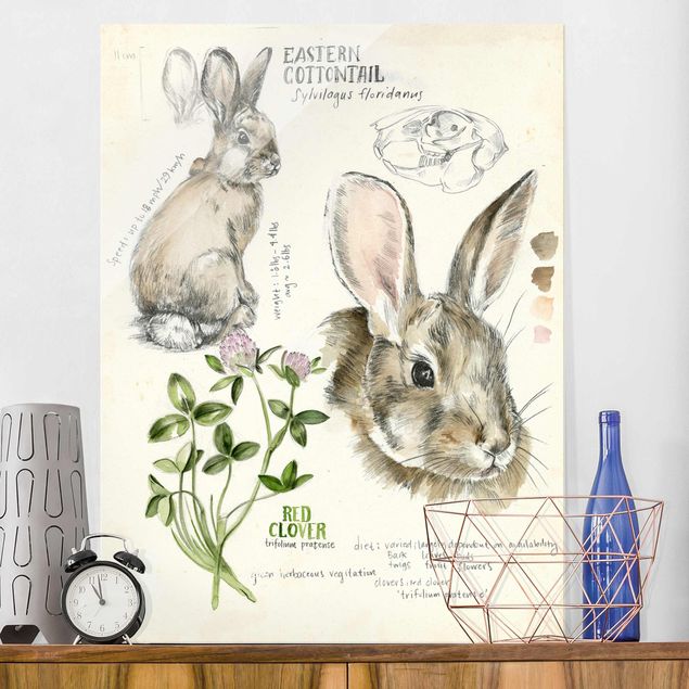 Magnettafel Glas Wildnis Journal - Kaninchen