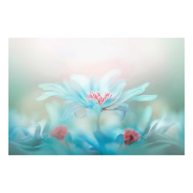 Glasbild - Zarte Blüten in Pastell - Quer 3:2