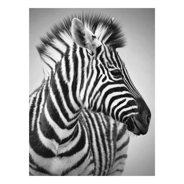 Glasbild - Zebra Baby Portrait II - Hoch 3:4