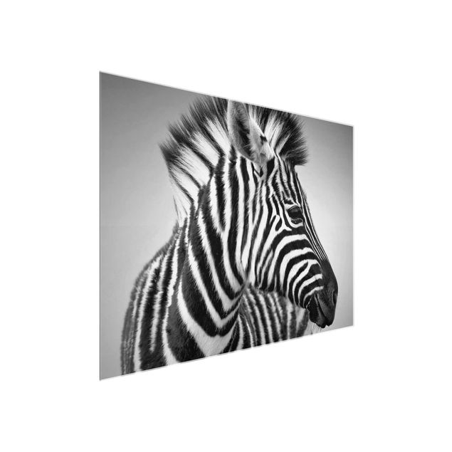 Glasbild - Zebra Baby Portrait II - Quer 4:3