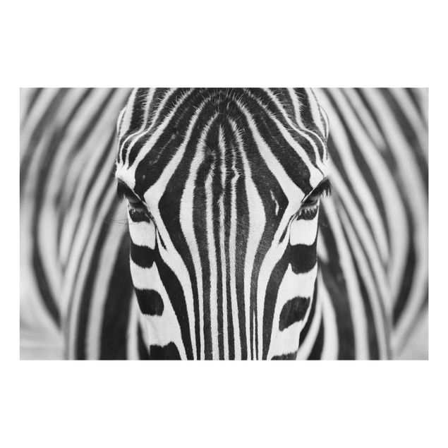 Glasbild - Zebra Look - Quer 3:2
