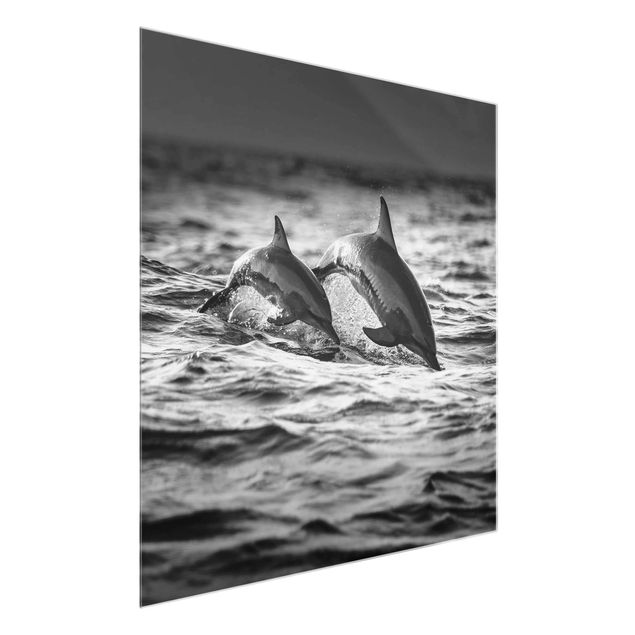Glasbild - Zwei springende Delfine - Quadrat 1:1