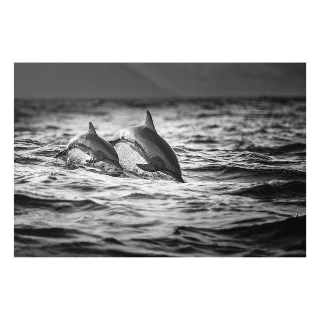 Glasbild - Zwei springende Delfine - Querformat 2:3