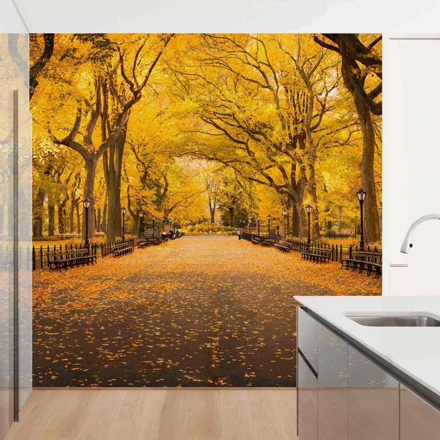 Fototapete - Herbst im Central Park