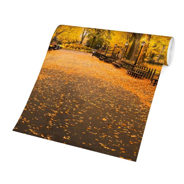 Fototapete - Herbst im Central Park