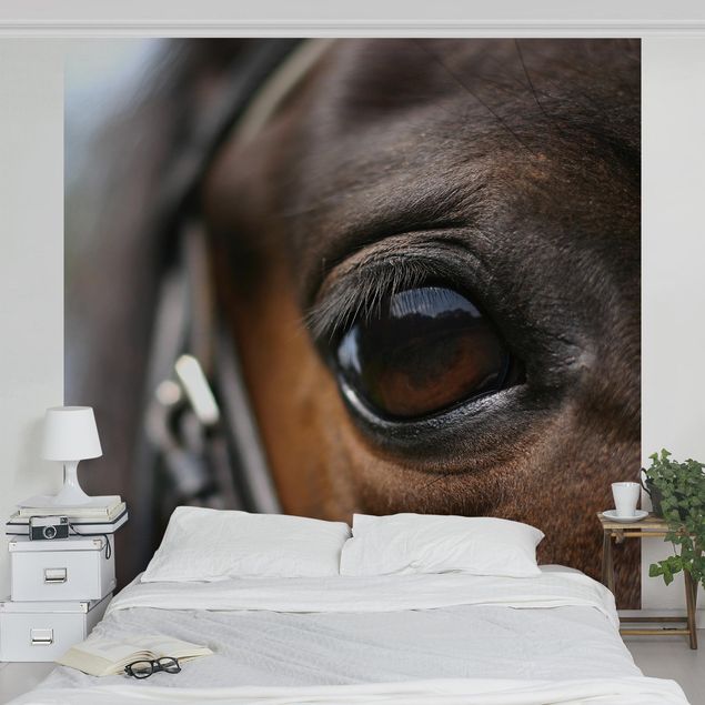 Fototapete - Horse Eye