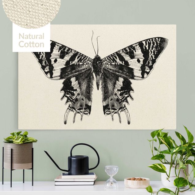 Leinwandbild Natur - Illustration fliegender Madagaskar Schmetterling - Querformat 3:2