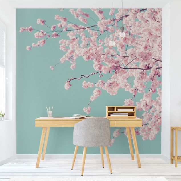 Fototapete - Japanische Kirschblüte
