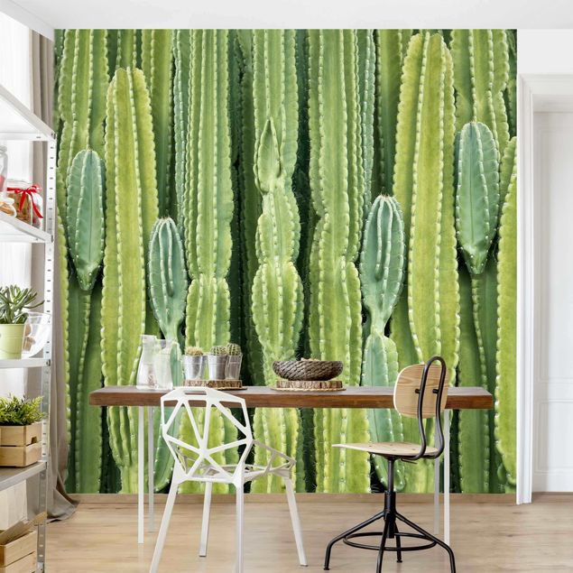 Fototapete - Kaktus Wand