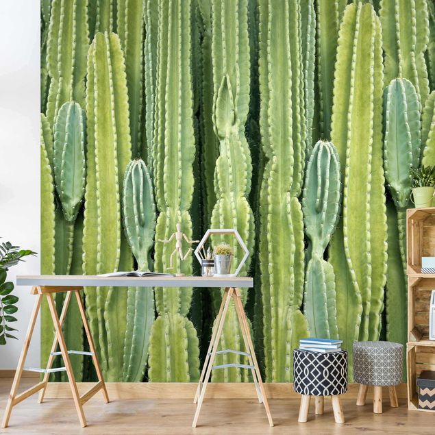 Fototapete - Kaktus Wand