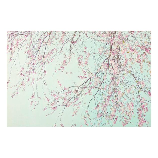 Glasbild - Kirschblütensehnsucht - Querformat