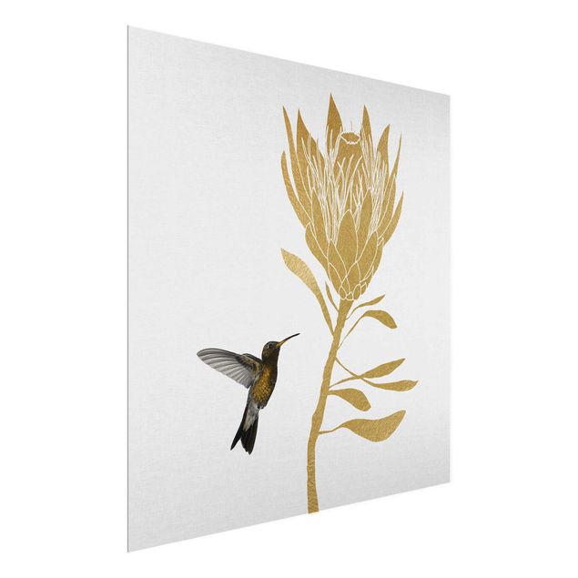 Glasbild - Kolibri und tropische goldene Blüte - Quadrat
