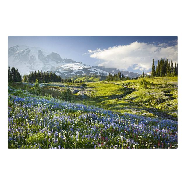 Leinwandbild Berg - Bergwiese mit blauen Blumen vor Mt. Rainier