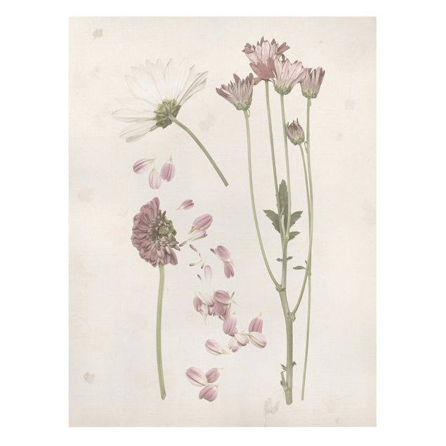 Leinwandbild - Herbarium in rosa II - Hochformat 4:3