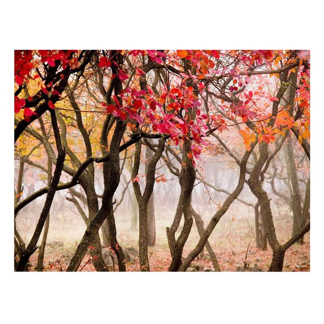Leinwandbild - Japan im Herbst - Quer 4:3