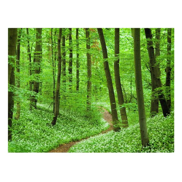 Leinwandbild - Romantischer Waldweg - Quer 4:3