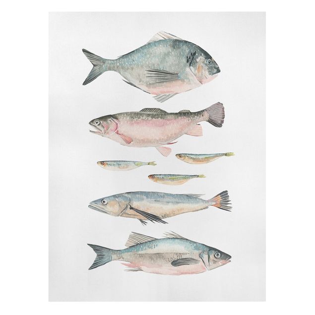 Leinwandbild - Sieben Fische in Aquarell II - Hochformat 4:3