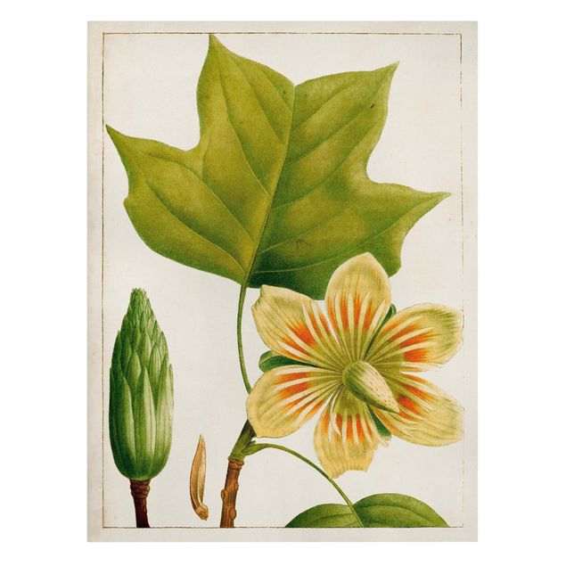 Leinwandbild - Tableau Blatt Blüte Frucht IV - Hochformat 4:3