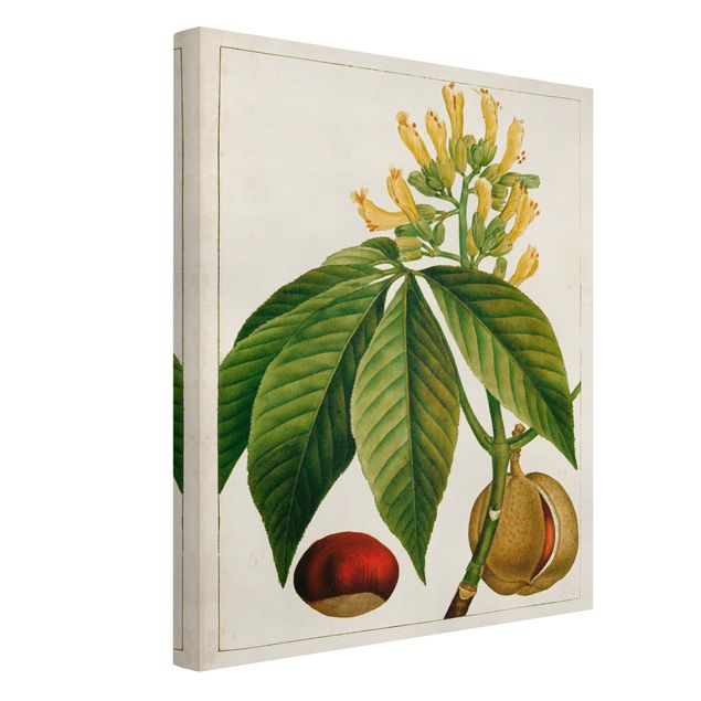 Leinwandbild - Tableau Blatt Blüte Frucht VI - Hochformat 4:3