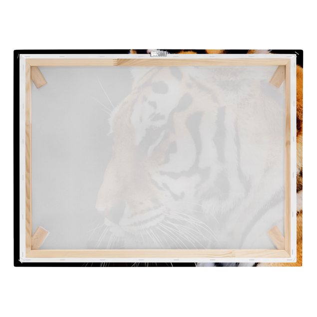 Leinwandbild - Tiger Schönheit - Quer 4:3