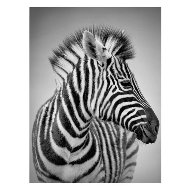 Leinwandbild Schwarz-Weiß - Zebra Baby Portrait II - Hoch 3:4