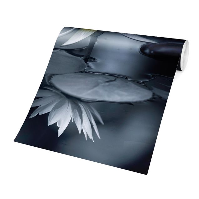 Fototapete - Lotus Spiegelung im Wasser